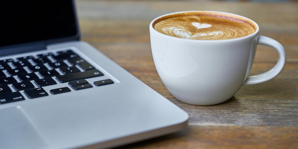 cabin crew online course